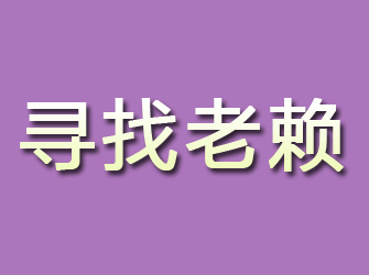 金平寻找老赖